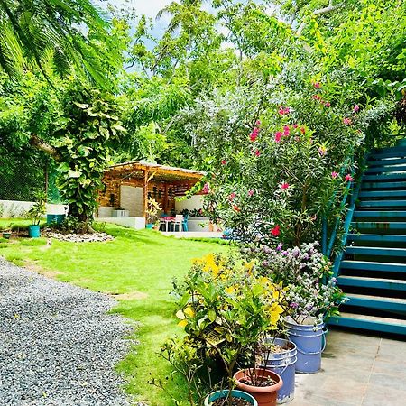 מלון San Andrés Palmare House מראה חיצוני תמונה