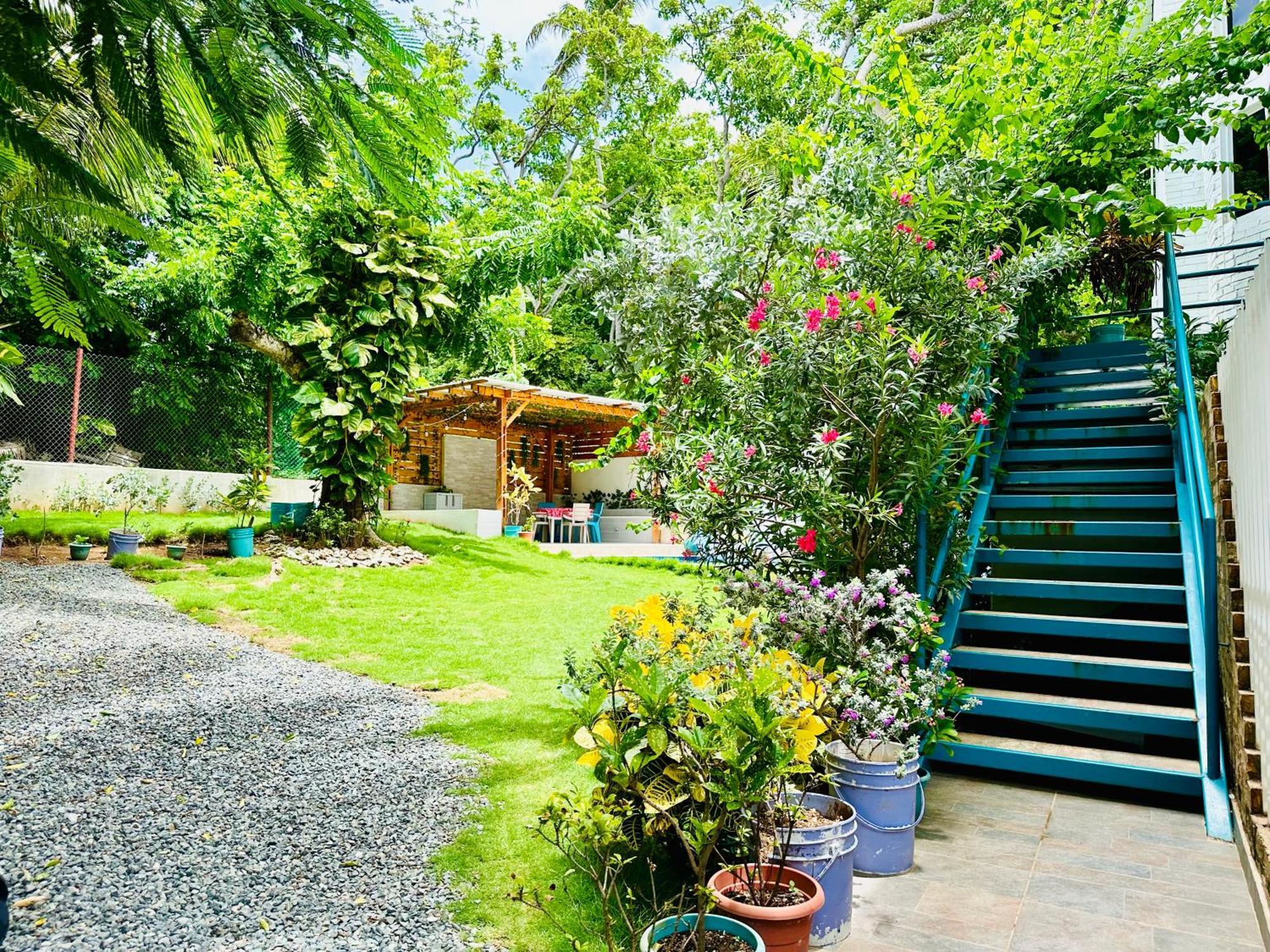 מלון San Andrés Palmare House מראה חיצוני תמונה